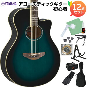 YAMAHA APX600 OBB AR[XeBbNM^[S12_Zbg }n yWEBSHOPz