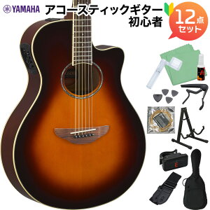 YAMAHA APX600 OVS AR[XeBbNM^[S12_Zbg }n yWEBSHOPz