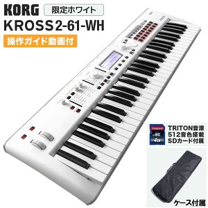 KORG KROSS2-61 (KROSS2-61-SC zCg) VZTCU[ yP[XETRITONFSDJ[htz RO yyz