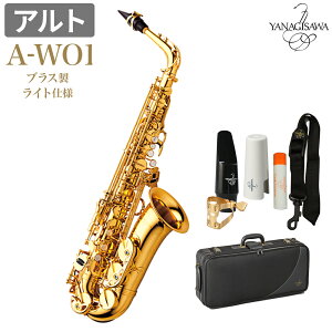 YANAGISAWA A-WO1 AgTbNX uX Cgdl iMT AWO1 WO1yWViz