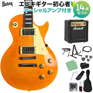レスポールタイプ burny エレキギターの人気商品・通販・価格比較 
