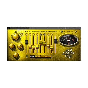 WAVES JJP Guitars ( Jack Joseph Puig) �E�F�[�u�X [���[���[�i ������s��]