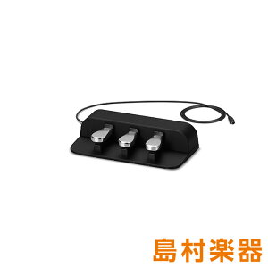 CASIO SP-34 dqsAm 3{y_ yPX-S1100/PX-S3100/CDP-S160/CDP-S300Ήz JVI SP34