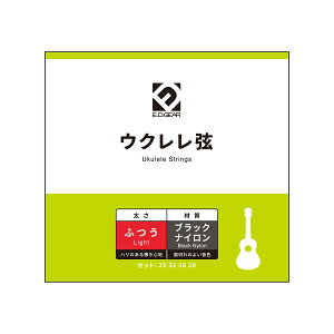 E.D.GEAR EUKS10 ENZbg C[fB[MA EDGEAR