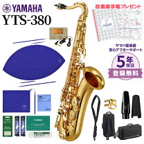 楽天市場】ヤマハ テナーサックス タンポセットの通販