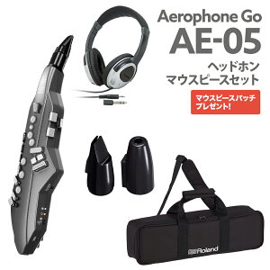 Roland AE-05 + �w�b�h�z�� + �����p�}�E�X�s�[�X(�n�[�h�^�C�v) �E�C���h�V���Z�T�C�U�[ ���[�����h �G�A���t�H��