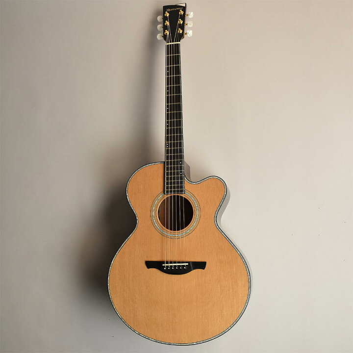 楽天市場】HISTORY NT-301/CA NAT エレアコギター ヒストリー NT301CA 