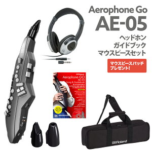 Roland AE-05 �w�b�h�z�� �����K�C�h�u�b�N �����p�}�E�X�s�[�X�Z�b�g �E�C���h�V���Z�T�C�U�[ ���[�����h �G�A���t�H��