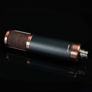 TELEFUNKEN TF-29 �R���f���T�[�}�C�N �e���t���P�� TF29