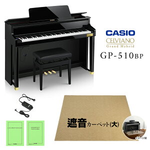 CASIO GP-510BP ubN|bVdグ x[WՉJ[ybg()Zbg dqsAm ZBA[m 88 JVI OhnCubhyzݒuzysz
