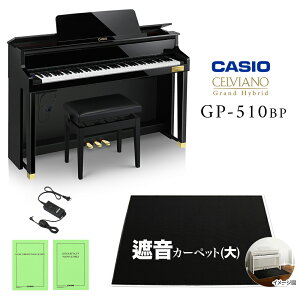 CASIO GP-510BP ubN|bVdグ ubNՉJ[ybg()Zbg dqsAm ZBA[m 88 JVI OhnCubhyzݒuzysz