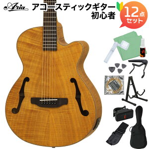 アコースティックギター fホールの人気商品・通販・価格比較 - 価格.com