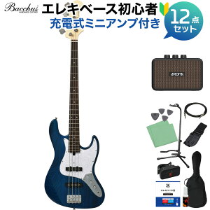 Bacchus WJB-500R ASH V[X[u[EOXtBjbV(STB) x[X S12_Zbg y[d~jAvtz WYx[X^Cv obJX yS҃Zbgz