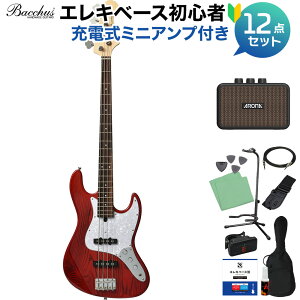 Bacchus WJB-500R ASH V[X[bhEOXtBjbV(STR) x[X S12_Zbg y[d~jAvtz WYx[X^Cv obJX yS҃Zbgz