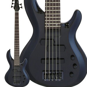 AriaProII IGB-STD/5B Metallic Black 5GLx[X IGBV[Y AAv2
