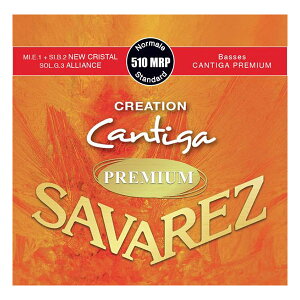 SAVAREZ 510MRP (m[}eV) SET NGCV JeB[Kv~A NVbNM^[ ToX