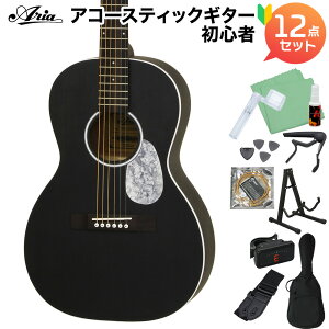 ARIA ARIA-131M UP STBK AR[XeBbNM^[S҃Zbg12_Zbg TeubN  p[[TCY AA