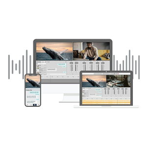 soundwhale Soundwhale Level3 Audio Post Solution (�i�����C�Z���X��) �T�E���h�z�G�[�� [���[���[�i ������s��]