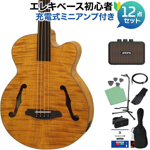 �y�G���g���[�ōő�10���|�C���g������zARIA FEB-F2/FL Stained Brown �x�[�X ���S��12�_�Z�b�g �y�[�d���~�j�A���v�t�z �t���b�g���X �A���A �y���S�҃Z�b�g�z