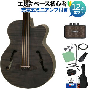 �y�G���g���[�ōő�10���|�C���g������zARIA FEB-F2/FL Stain Black �x�[�X ���S��12�_�Z�b�g �y�[�d���~�j�A���v�t�z �t���b�g���X �A���A �y���S�҃Z�b�g�z