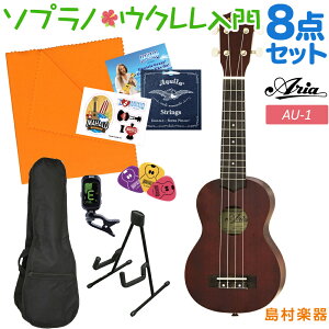 ARIA AU-1 ENS҃Zbg X^ht8_Zbg \vmEN }zKj[ AA