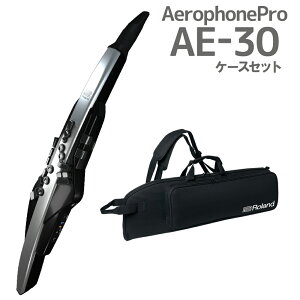 Roland AE-30 Aerophone Pro EChVZTCU[ [h