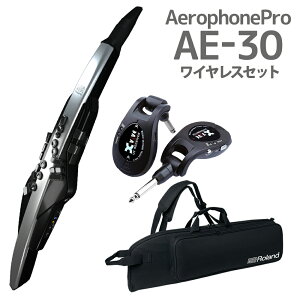 Roland AE-30 Aerophone Pro P[X CXZbg EChVZTCU[ [h