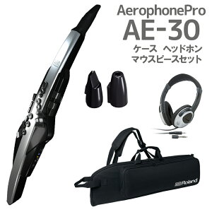 Roland AE-30 Aerophone Pro P[X wbhz p}EXs[XZbg EChVZTCU[ [h
