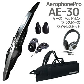 Roland AE-30 Aerophone Pro ケース ヘッドホン 交換用マウスピース ワイヤレスセット ウインドシンセサイザー ローランド