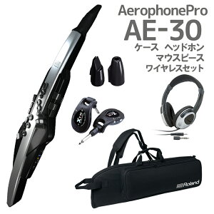 Roland AE-30 Aerophone Pro P[X wbhz p}EXs[X CXZbg EChVZTCU[ [h