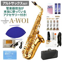 楽天市場】yanagisawa a901の通販