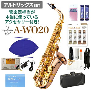 【旧価格】 YANAGISAWA A-WO20 アルトサックスセット ヤナギサワ 【管楽器担当が本当に使っているアクセサリー付き！】【未展示新品】