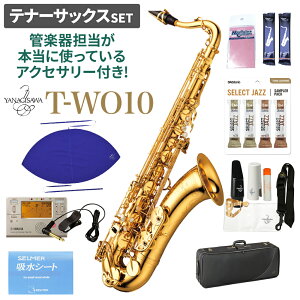 YANAGISAWA T-WO10 ei[TbNXZbg iMT yǊyS{ɎgĂANZT[tIzyWViz