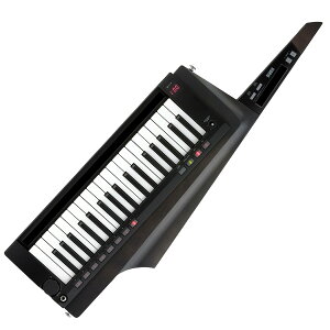 KORG RK-100S 2 BK ubN KEYTAR V_[L[{[h L[^[ RO