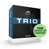 [数量限定特価] XLN Audio Addictive Keys Trio Bundle ピアノ音源バンドル XLNオーディオ