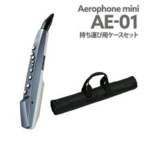 楽天市場】ae－01 ローランド エアロフォン ミニの通販