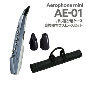 Roland AE-01 P[X p}EXs[X Zbg EChVZTCU[ [h AE01 GAtH ~j