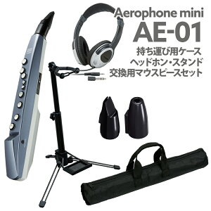 Roland AE-01 P[X wbhz X^h p}EXs[X Zbg EChVZTCU[ [h AE01 GAtH ~j
