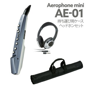 Roland AE-01 P[X wbhz Zbg EChVZTCU[ [h AE01 GAtH ~j