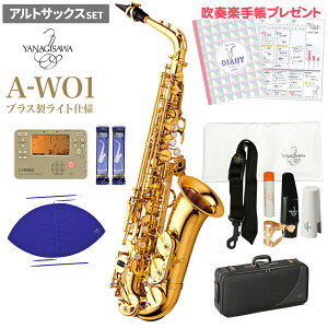 YANAGISAWA A-WO1 S҃Zbg AgTbNX iMT AWO1yWViz