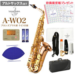 YANAGISAWA A-WO2 S҃Zbg AgTbNX iMT AWO2yWViz