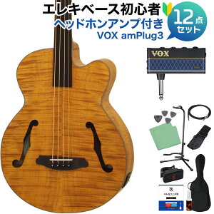�y�G���g���[�ōő�10���|�C���g������zARIA FEB-F2/FL Stained Brown �x�[�X ���S��12�_�Z�b�g �y�w�b�h�z���A���v�t�z �t���b�g���X �A���A �y���S�҃Z�b�g�z