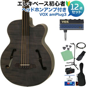 �y�G���g���[�ōő�10���|�C���g������zARIA FEB-F2/FL Stain Black �x�[�X ���S��12�_�Z�b�g �y�w�b�h�z���A���v�t�z �t���b�g���X �A���A �y���S�҃Z�b�g�z