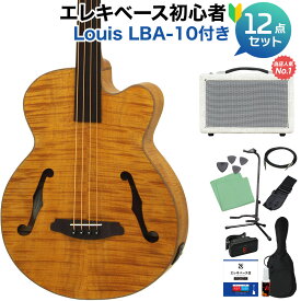 ARIA FEB-F2/FL Stained Brown ベース 初心者12点セット 【島村楽器で一番売れてるベースアンプ付】 フレットレス アリア 【初心者セット】