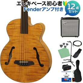 ARIA FEB-F2/FL Stained Brown ベース 初心者12点セット 【Fenderアンプ付】 フレットレス アリア 【初心者セット】