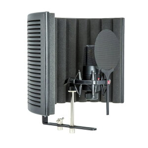 �y�}���\�����Ԓ� �G���g���[�ł����P5�{�z[���ʌ������] sE ELECTRONICS X1S Studio Bundle �R���f���T�[�}�C�N�Z�b�g sE�G���N�g���j�N�X