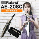 Roland AE-20SC 島村楽器限定モデル ゴールドカラー 32種の追加音源付属 エアロフォン ウインドシンセサイザー 2022年…