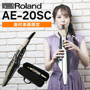 [t] Roland AE-20SC y胂f S[hJ[ ǉt GAtH EChVZTCU[ [h AE20SC