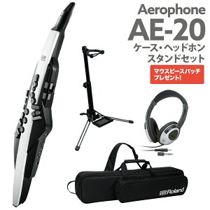 Roland AE-20 P[X wbhz pX^hZbg GAtH EChVZTCU[ [h