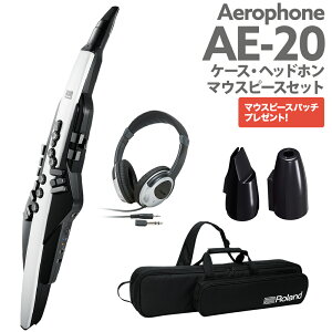 Roland AE-20 P[X wbhz p}EXXs[XZbg GAtH EChVZTCU[ [h